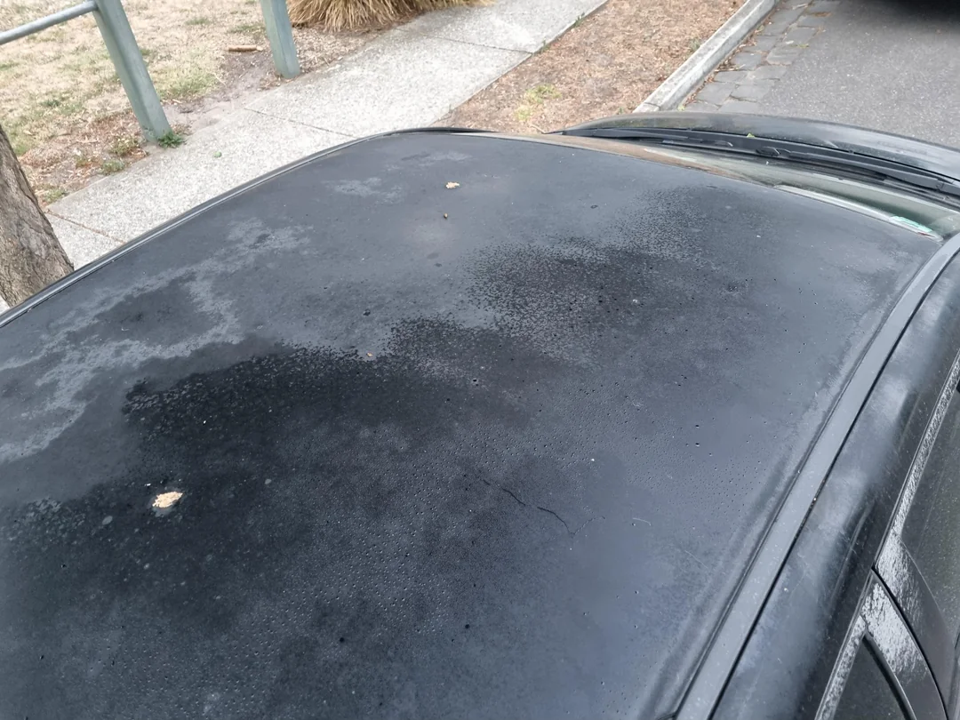 Dark car hood showing severe oxidation and paint damage