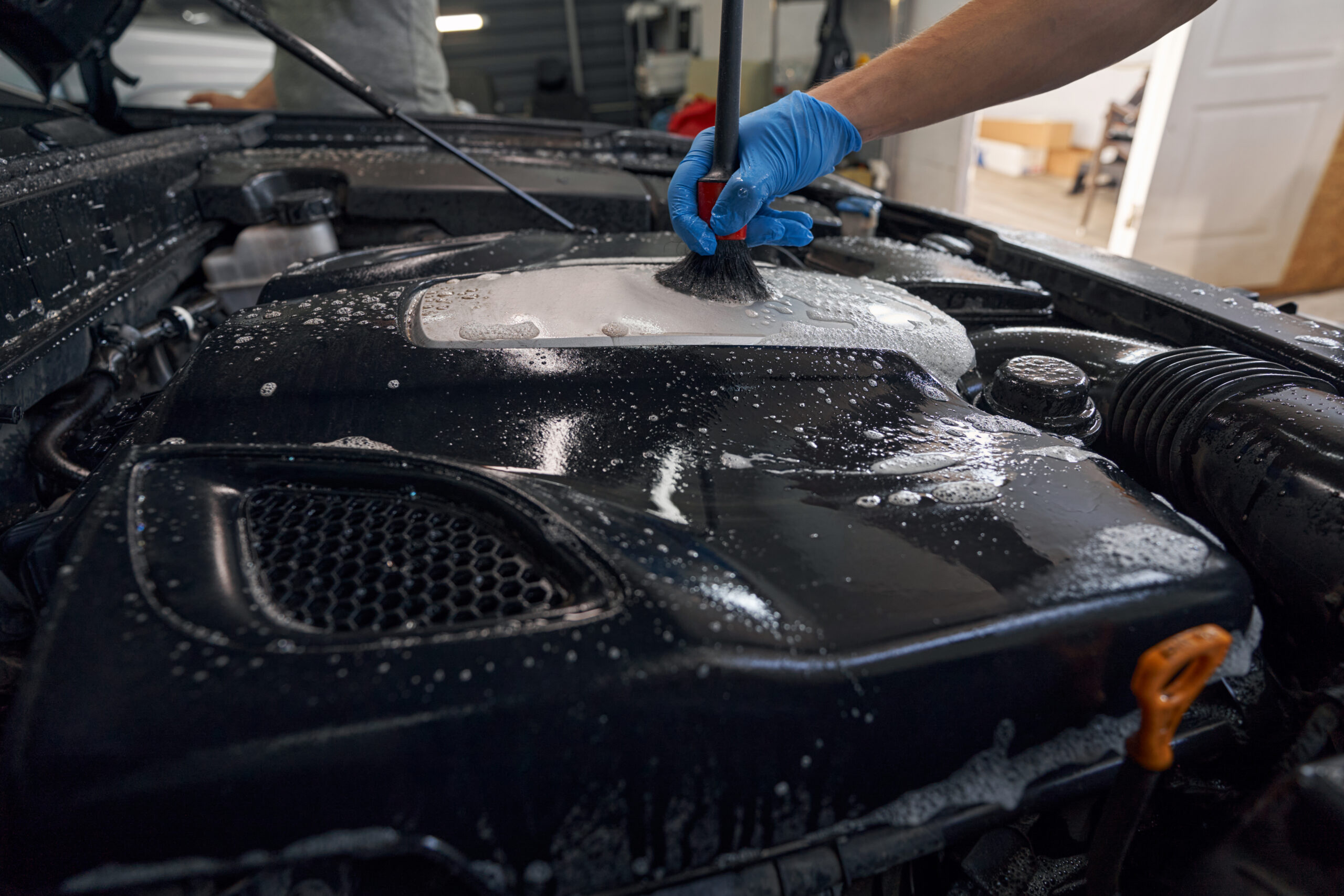 Engine Bay Cleaning